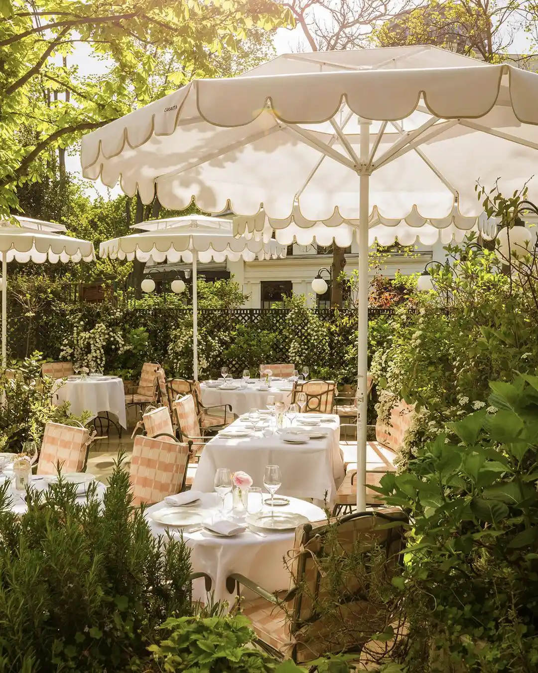 LAURENT LA TERRASSE 2