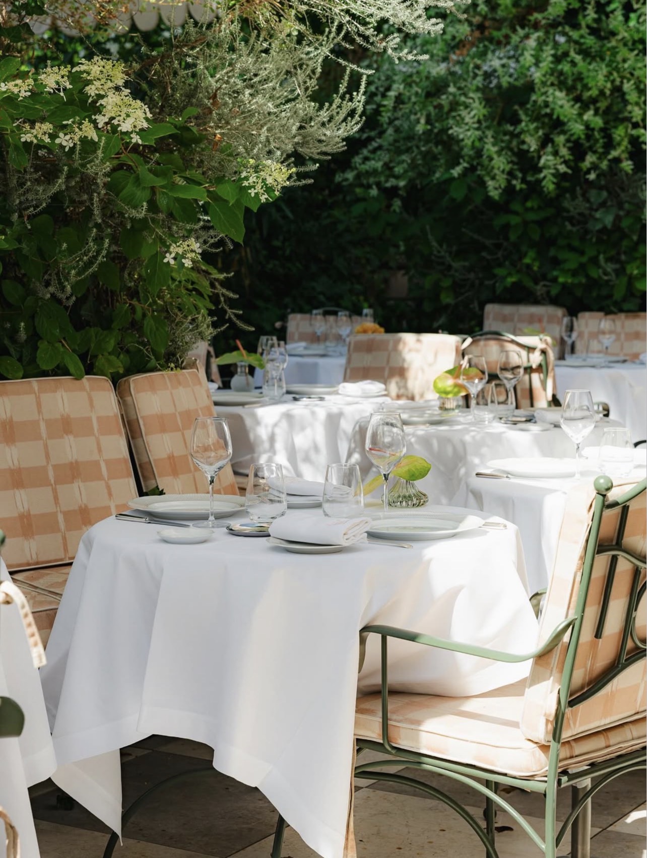 LAURENT LA TERRASSE 3