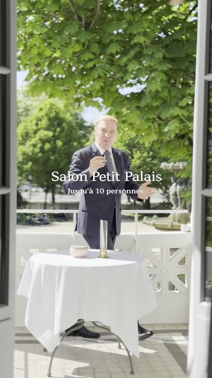 Vidéo du Salon Petit Palais